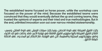 Noda Arabic Font Poster 4