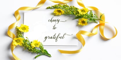 Deligam Font Poster 3