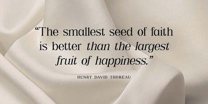 Shailey Morgance Font Poster 8