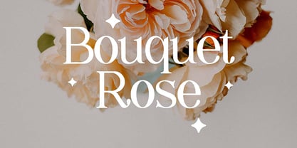 Shailey Morgance Font Poster 9