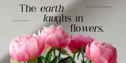 Shailey Morgance Font Poster 2