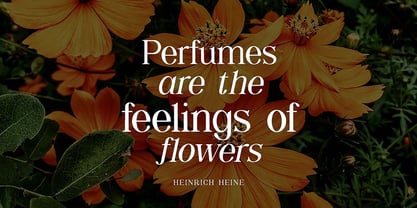 Shailey Morgance Font Poster 3