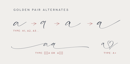 Golden Pair Duo Font Poster 14