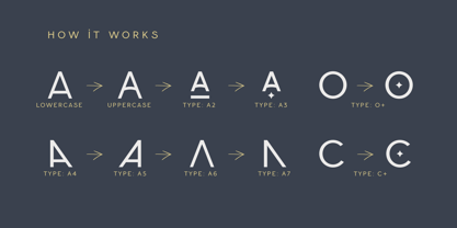 Golden Pair Duo Font Poster 12