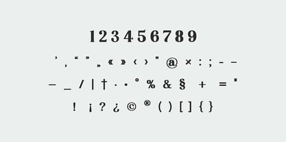 Retrosome Font Poster 11