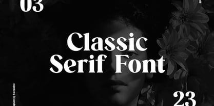 Retrosome Font Poster 10