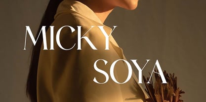 Readymates Font Poster 8