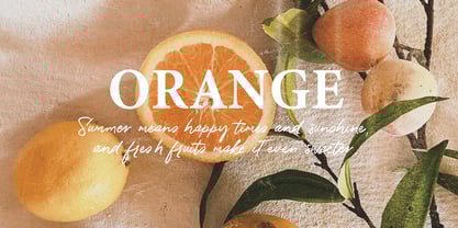 Pretty Morthen Font Poster 8