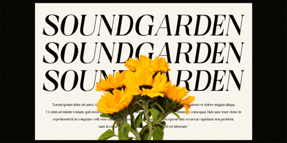 Lumina Phantom Font Poster 2