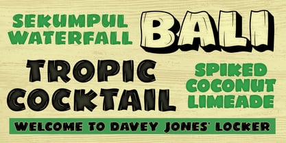 Tahitian Shores Font Poster 4