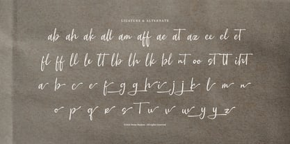 Kaelea Sammy Font Poster 12