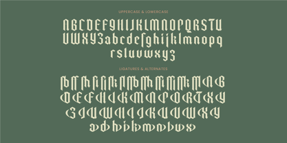 Trackero Font Poster 14