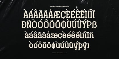 Original Regional Font Poster 11