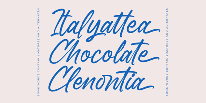 Bostony Kintens Font Poster 11