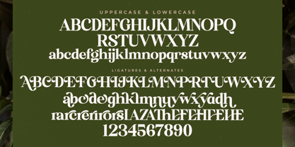 Florista Mango Font Poster 8