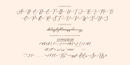 Gradefully Beauttina Font Poster 7