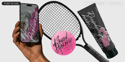 TT Disruptors Font Poster 2