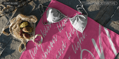 TT Disruptors Font Poster 10