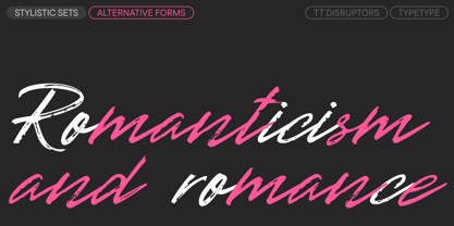 TT Disruptors Font Poster 11