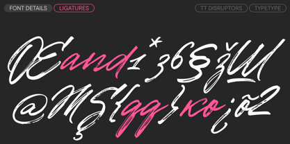 TT Disruptors Font Poster 5