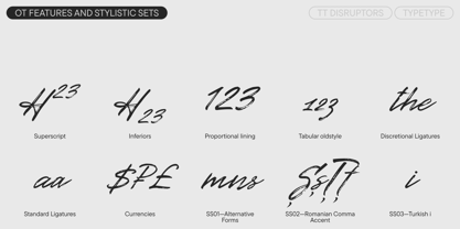 TT Disruptors Font Poster 12
