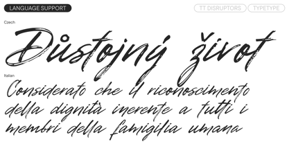 TT Disruptors Font Poster 8