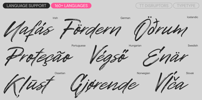 TT Disruptors Font Poster 7