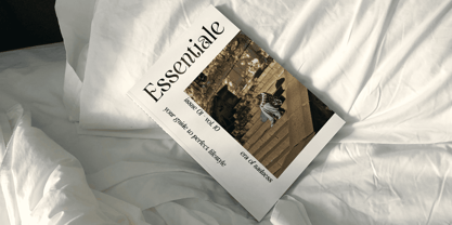 Aquene Rough Font Poster 4