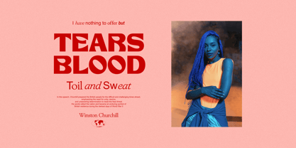 Hectic Northy Font Poster 2