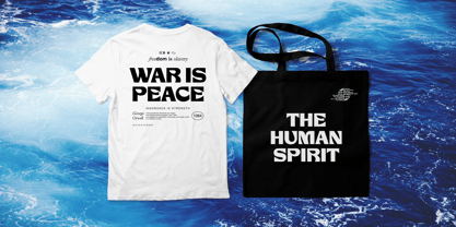 Hectic Northy Font Poster 3