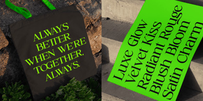 Cerlog Font Poster 2