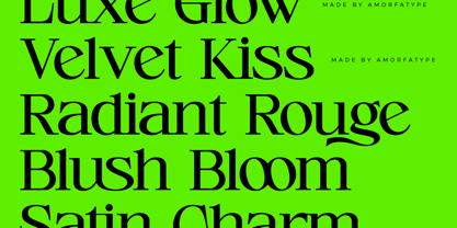 Cerlog Font Poster 6