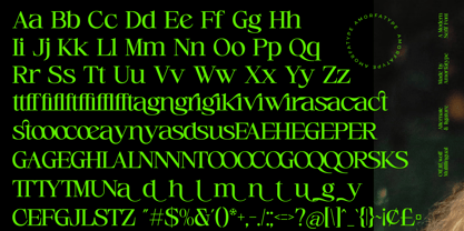 Cerlog Font Poster 10