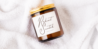 Delanisyta Gabrielle Font Poster 6