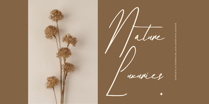 Delanisyta Gabrielle Font Poster 4