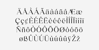 Luminary Serif Font Poster 6