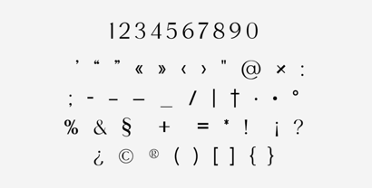 Luminary Serif Font Poster 5