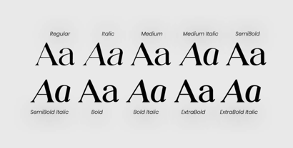 Luminary Serif Font Poster 7