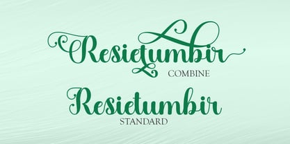 Daye Script Font Poster 2