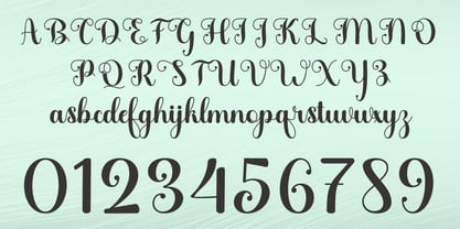 Daye Script Font Poster 7