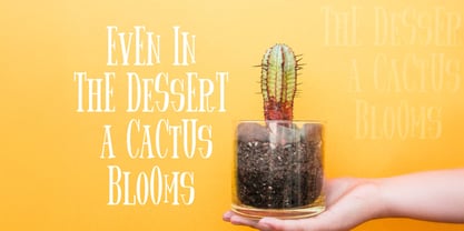 Spider King Font Poster 6