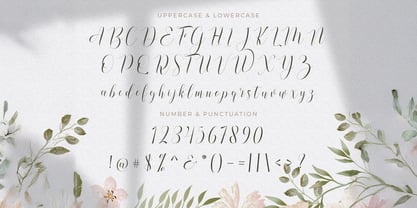 Rusthina Script Font Poster 6
