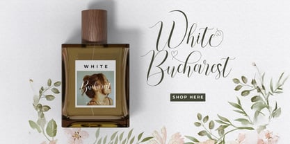 Rusthina Script Font Poster 3