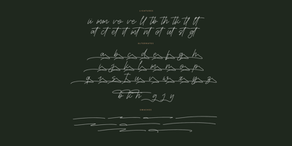 Fasthine Brooks Font Poster 8