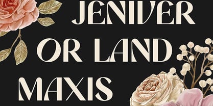 Romanost Font Poster 6