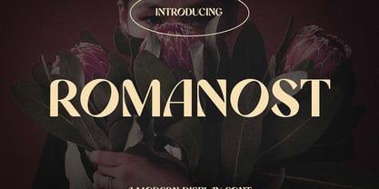 Romanost Font Poster 1