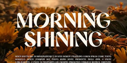 Romanost Font Poster 7