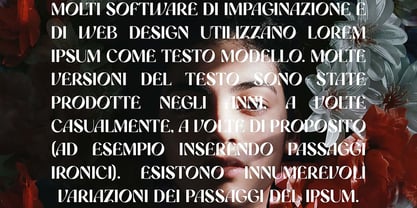 Romanost Font Poster 4