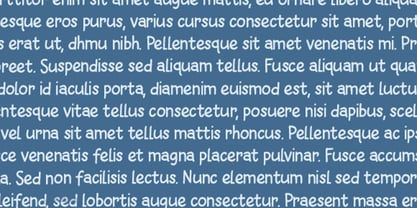 Playnets Font Poster 3