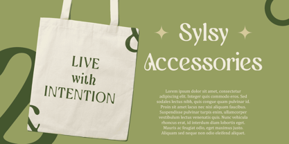 Aquene Blur Font Poster 5